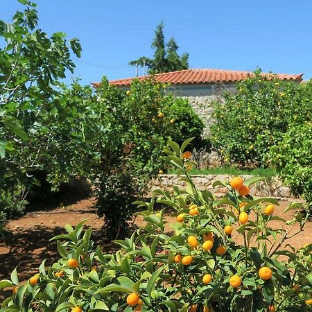 Aeolos A Family Paradise Few Steps From The Beach Kouverta Bagian luar foto