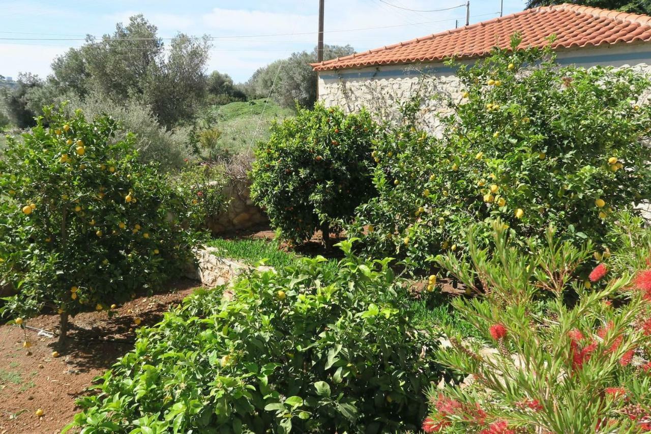 Aeolos A Family Paradise Few Steps From The Beach Kouverta Bagian luar foto