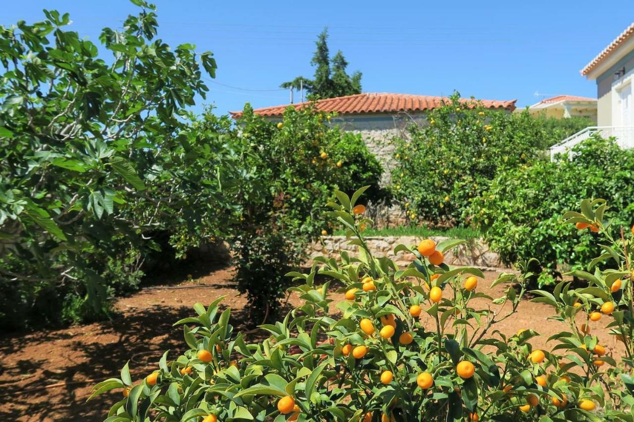 Aeolos A Family Paradise Few Steps From The Beach Kouverta Bagian luar foto